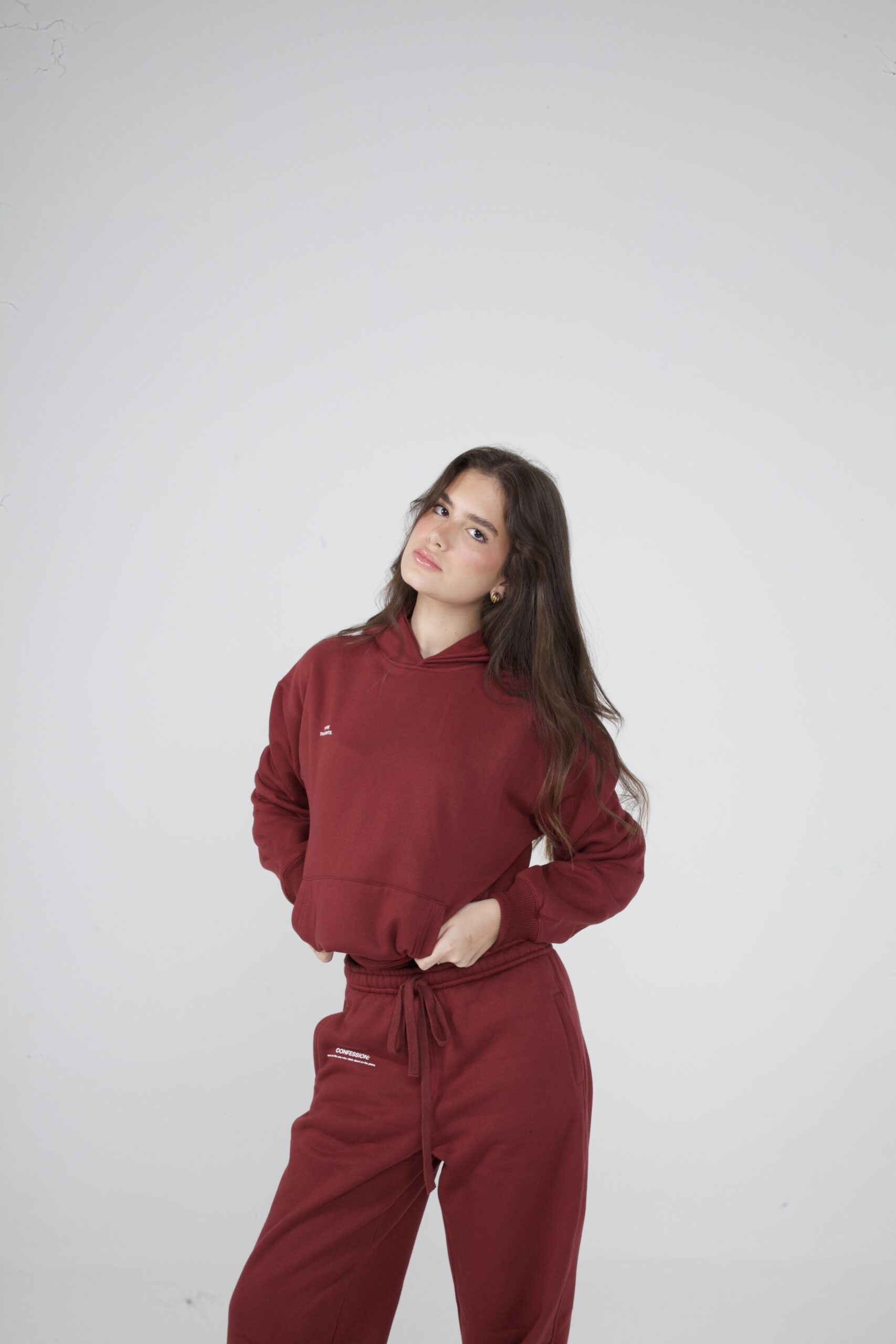 MOLETOM PLANE THOUGHTS VINHO - Image 2