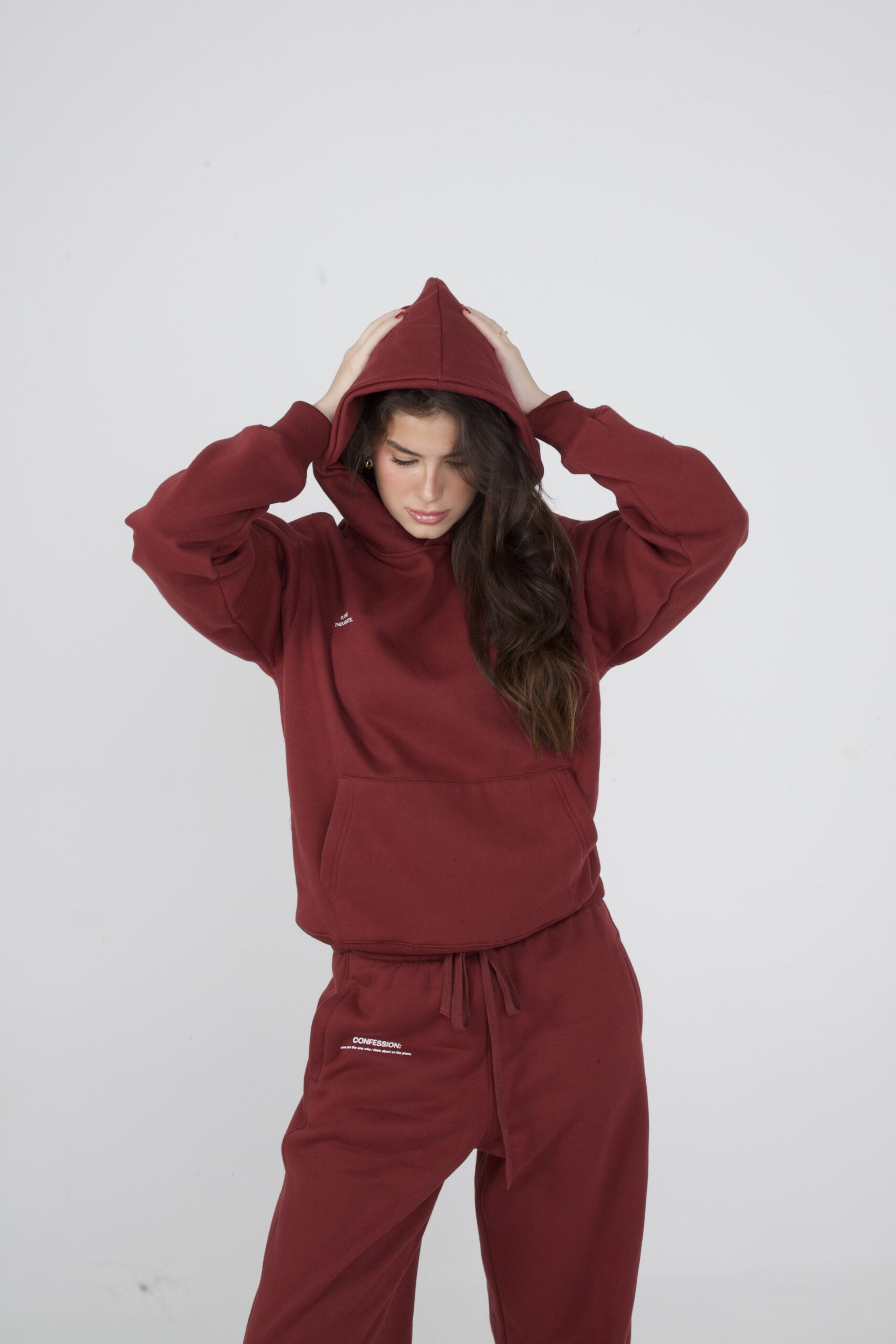 MOLETOM PLANE THOUGHTS VINHO - Image 6