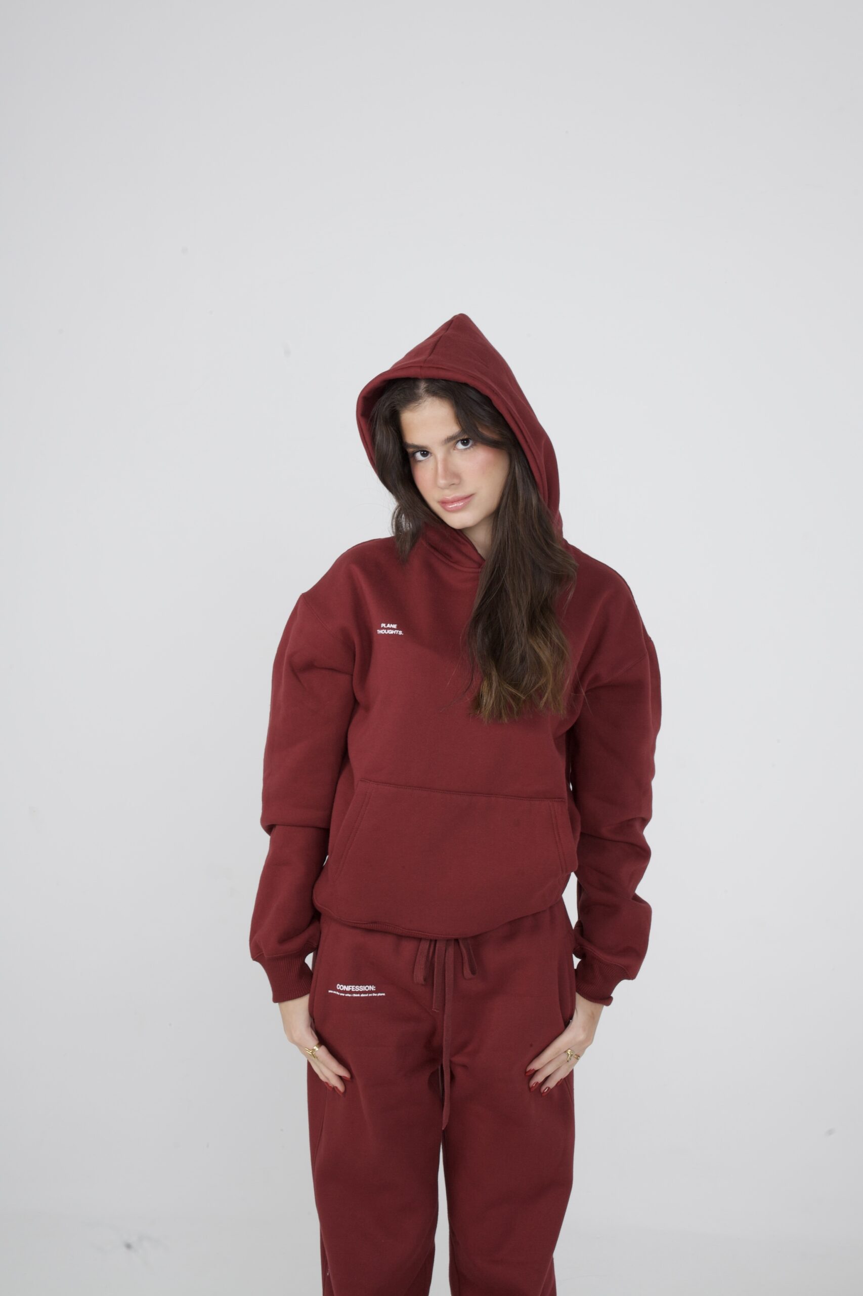 MOLETOM PLANE THOUGHTS VINHO - Image 7