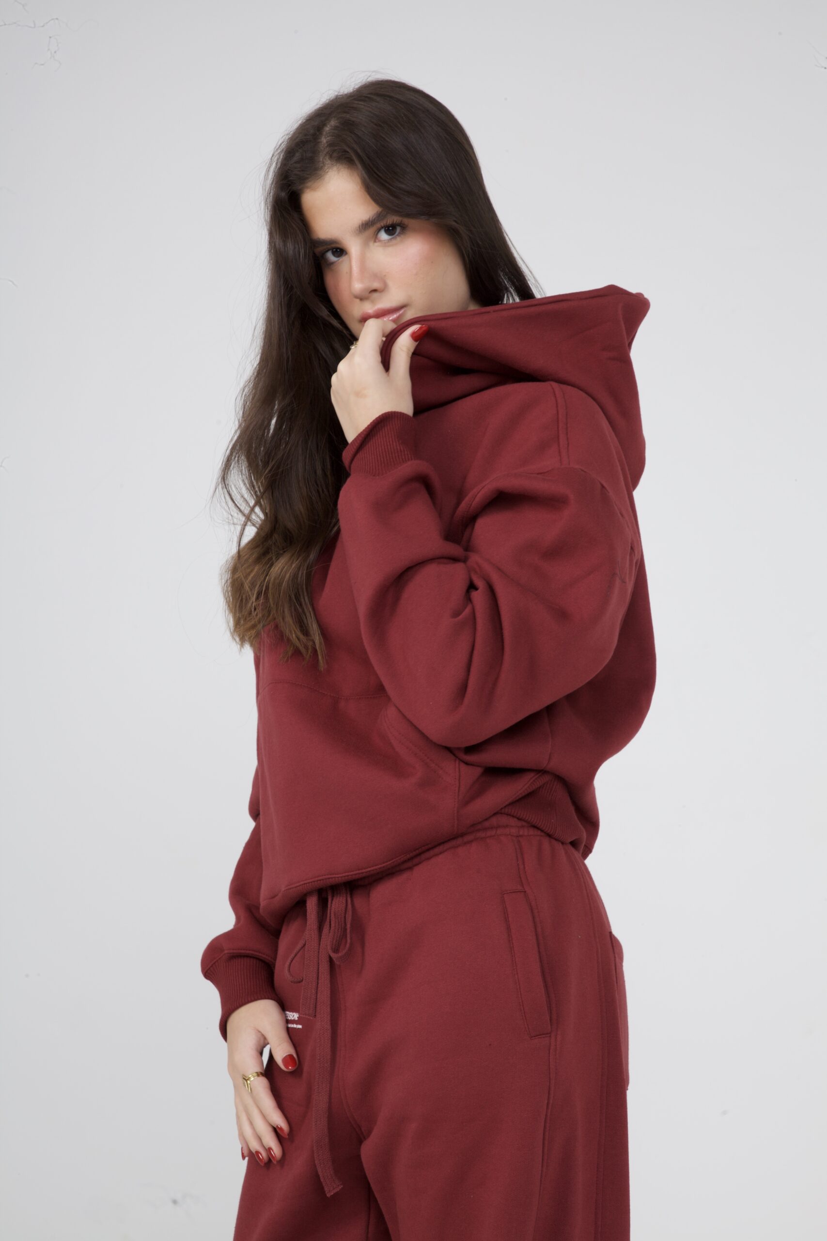 MOLETOM PLANE THOUGHTS VINHO - Image 8