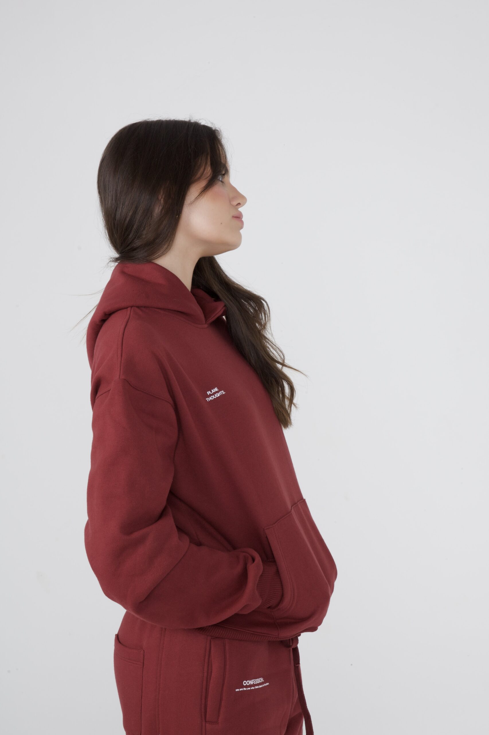 MOLETOM PLANE THOUGHTS VINHO - Image 11